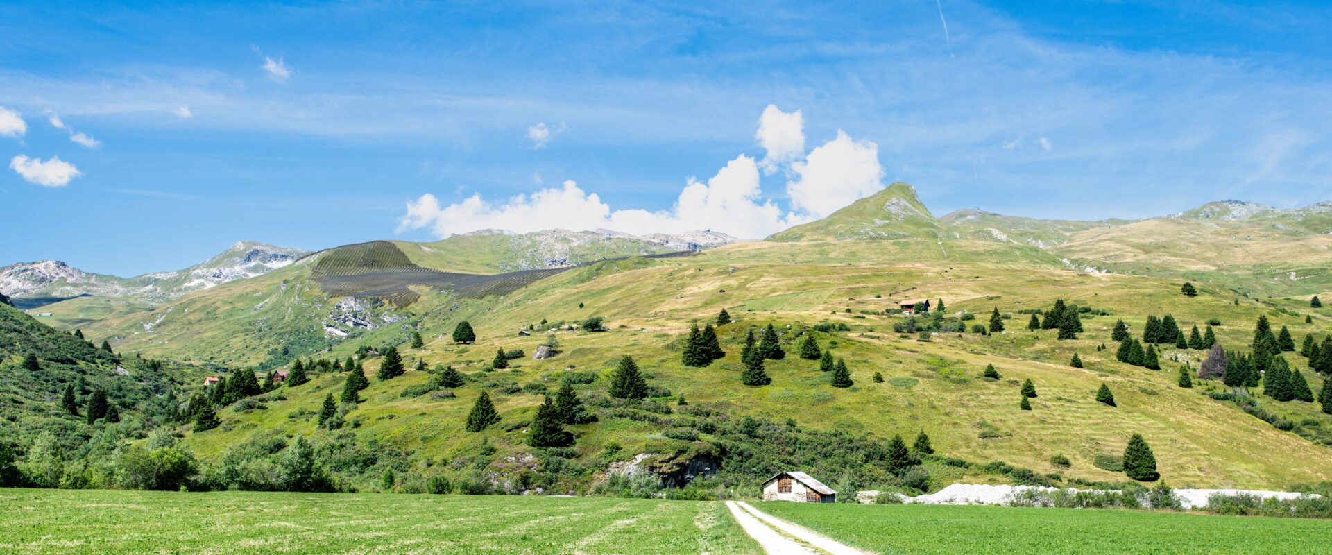 PL VIS Plaun Curtegn 230829 dan