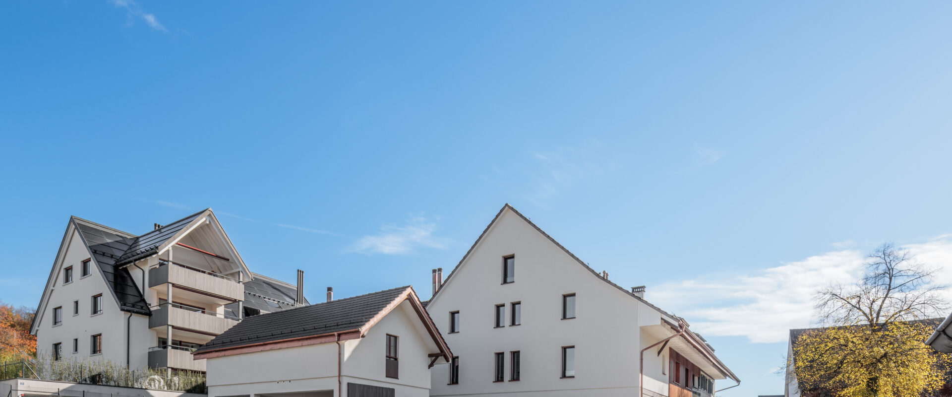 ernhaus und Neubau MFH-5