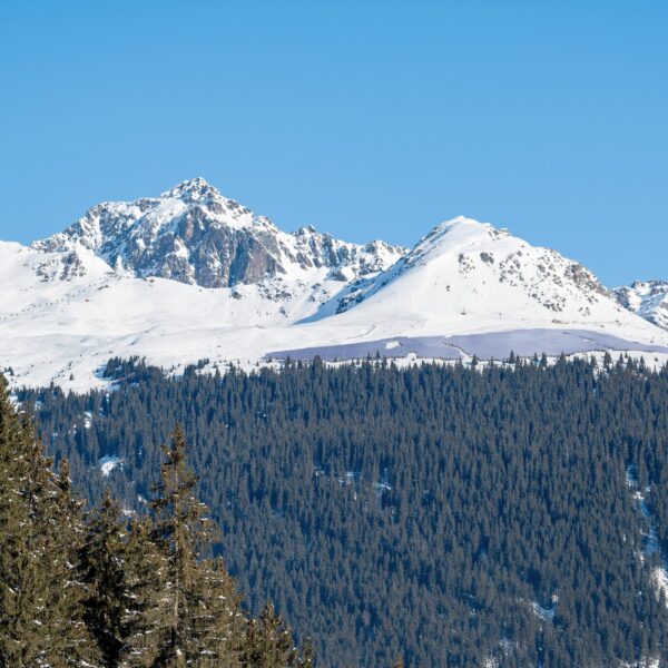 erung Madrisa Solar Fanzun AG