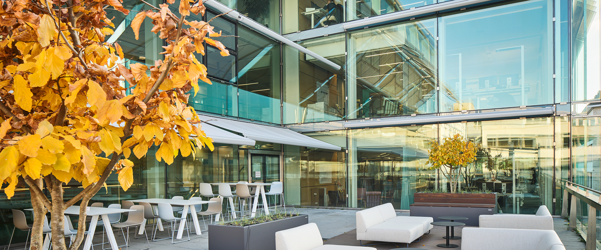 t-nobs-platz-zürich-referenzbild2-1920×800