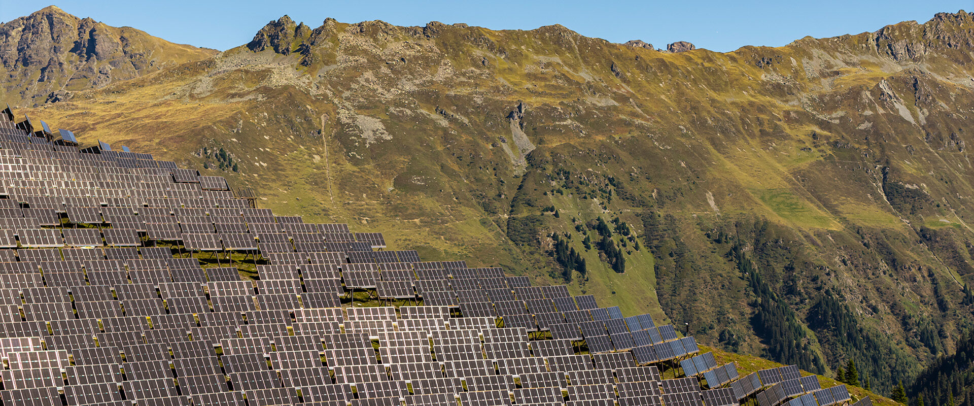 adrisa Bauende 2026 Slider1 1920x800px